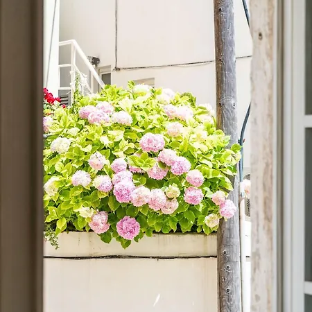 Old Town Historical Apartment
